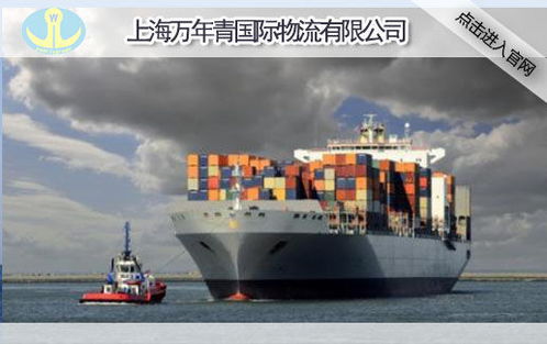 上海國(guó)際外貿(mào)出口海運(yùn)運(yùn)輸公司 萬(wàn)年青國(guó)際物流