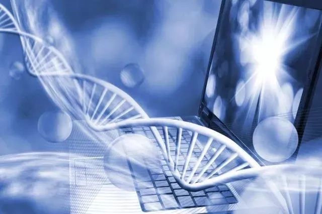 生物醫(yī)學工程 技術(shù)開發(fā)的創(chuàng)新引擎