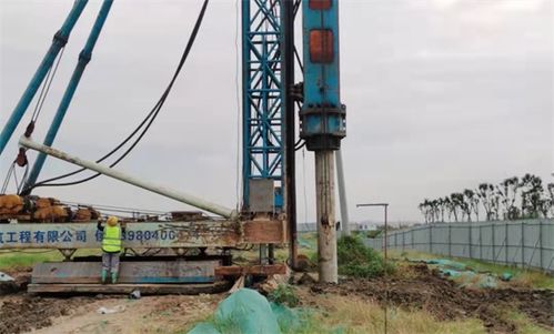 玉湖冷鏈深度融入四川國際供應鏈建設，推動施工工程高效落地